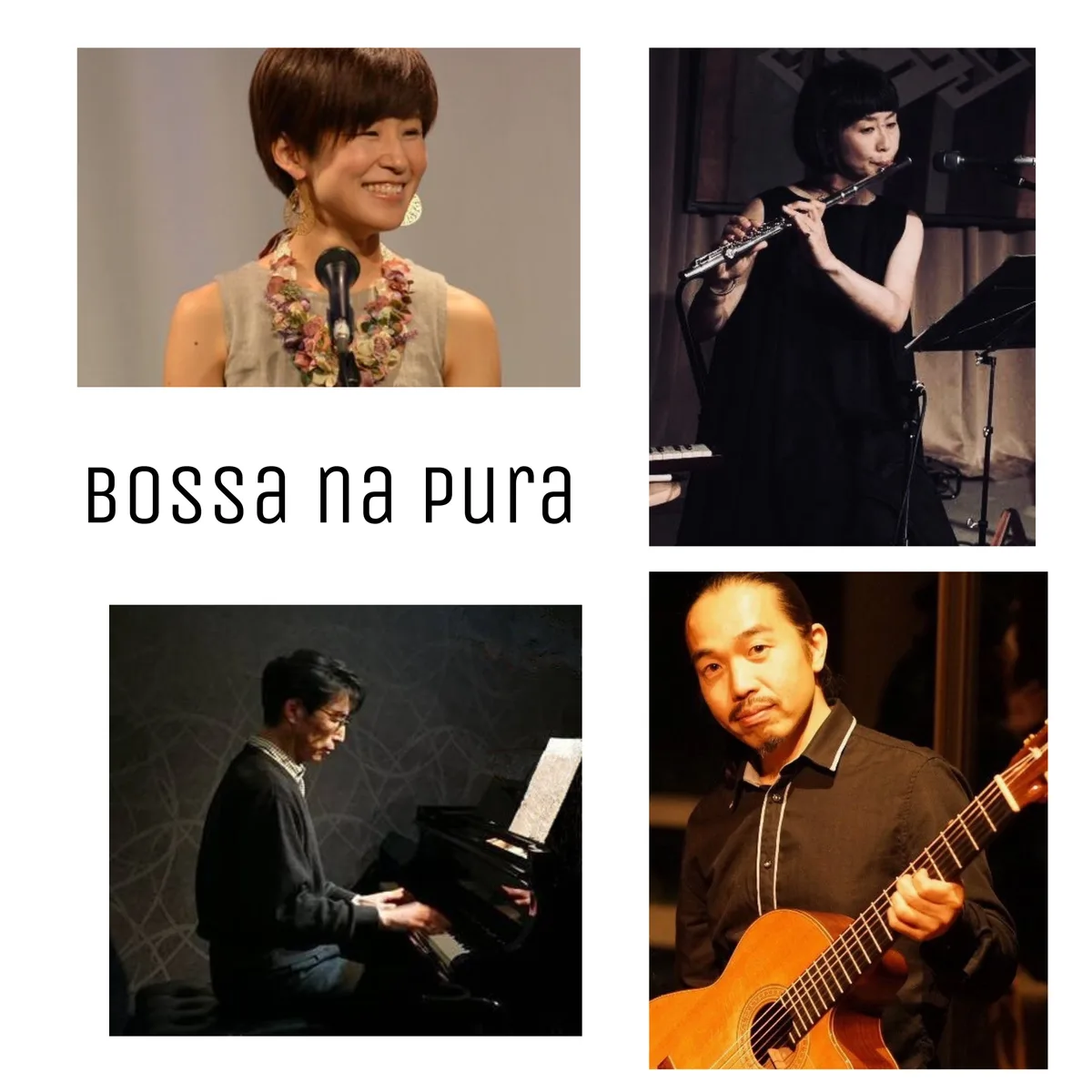 Bossa na pura
