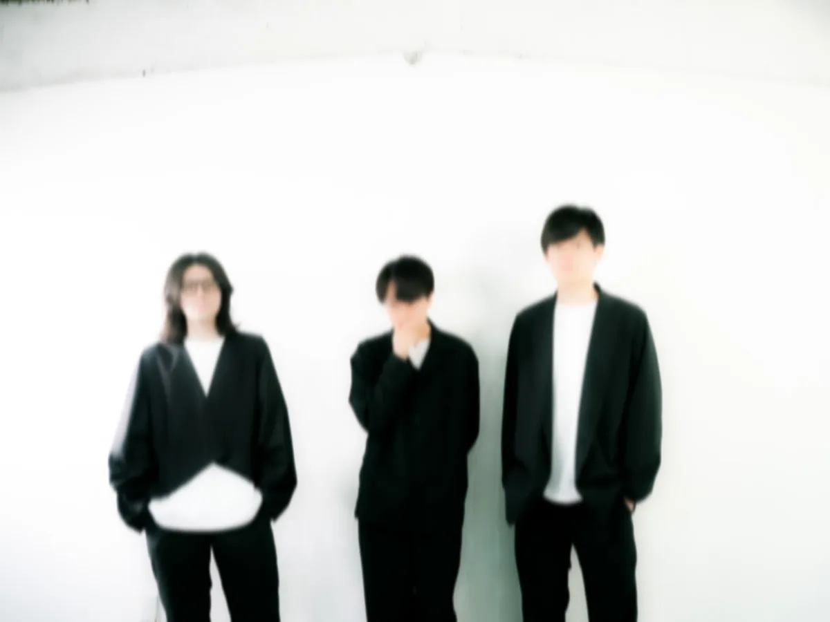 insize collective